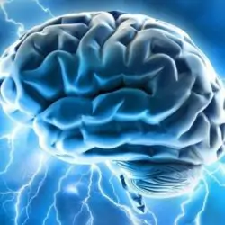 We may experience sexual pleasure by directly stimulating the brain in the future.