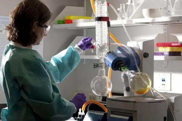 Scientist doing a laboratory experiment.