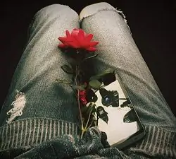 A rose and a smartphone