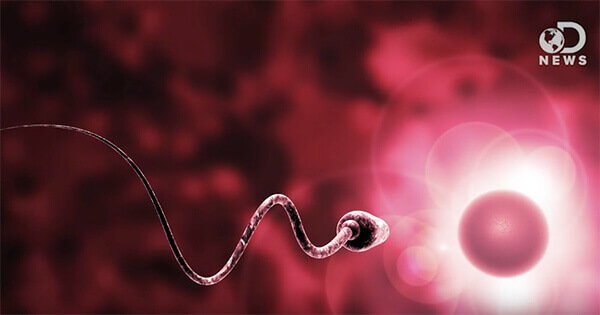 An animation of a single sperm. 