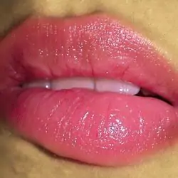 A pair of pink sensual lips.