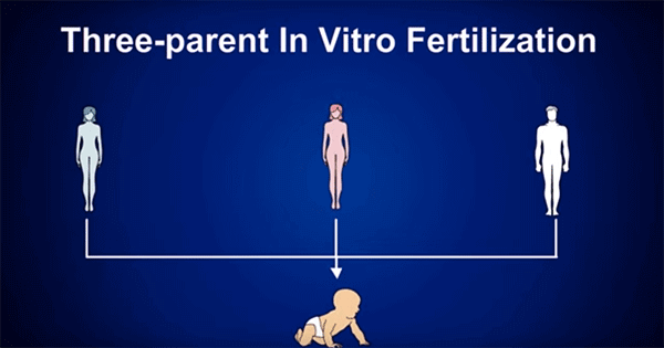 A new form of in vitro fertilization could end proliferation of genetic disorders. 