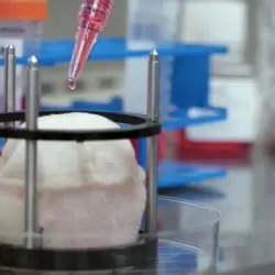 Anthony Atala grows human organs in his state-of-the-art lab.