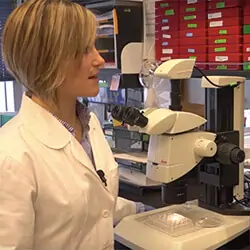 The ovary of the future may be a bioprosthetic that lets infertile women conceive.