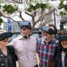 People in Sydney watch a same-sex marriage in New Zealand.