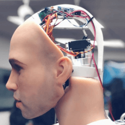 An interior robotic view of Henry the animatronic male sex doll's brain.
