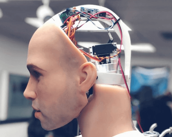An interior robotic view of Henry the animatronic male sex doll's brain. 