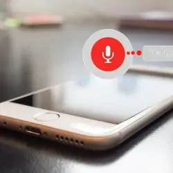 A photo of Google voice assistant on a phone.