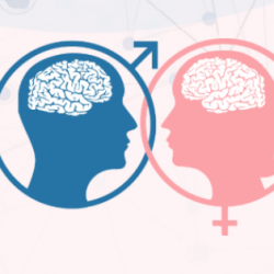 Icons of a man and woman's face inside of their respecitive gender signs are shown.