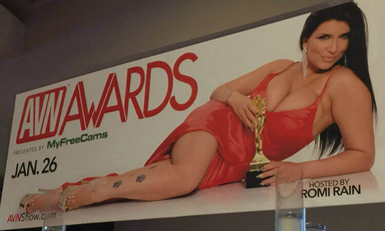AVN awards