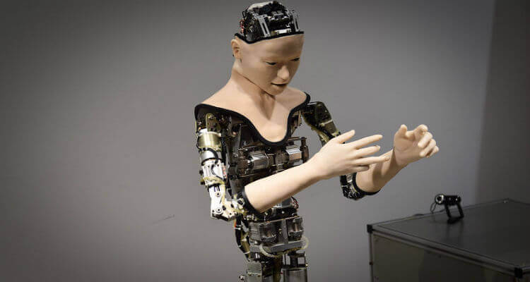 Death of a Sexbot