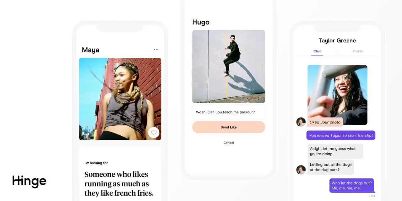 Hinge, the App That Makes You Put Your Best Foot Forward - Future of Sex