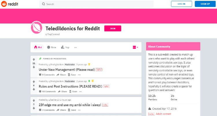 Screenshot of Teledildonics for Reddit Community Page