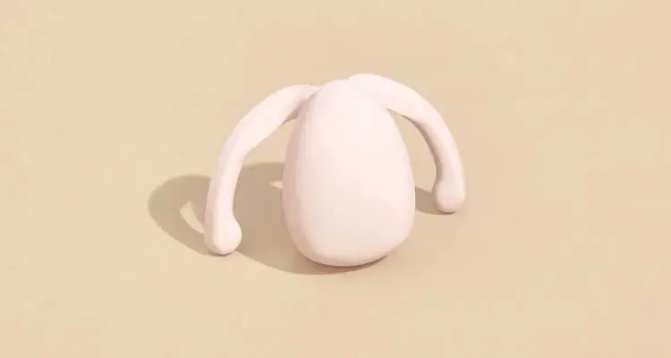Eva A waterproof couple’s vibrator