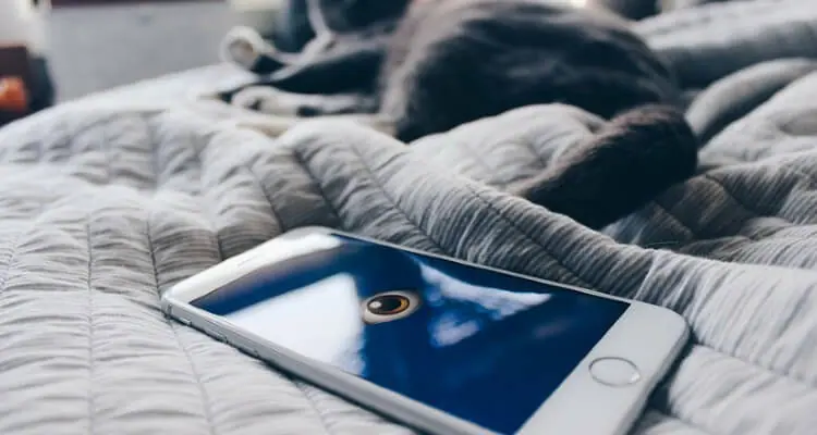 Picture of a phone placed on bed and a black cat lying close to it