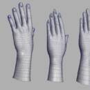 Image of 3D left hand Models