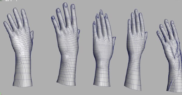 Image of 3D left hand Models