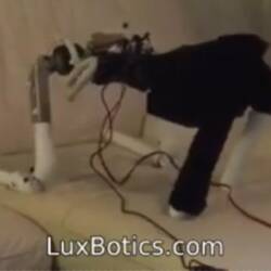 Screenshot of LuxBotics Robot robot prototype movement testing