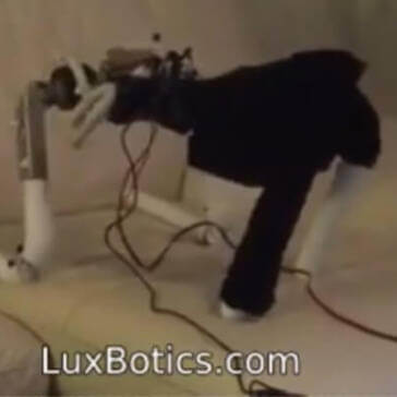 Screenshot of LuxBotics Robot robot prototype movement testing