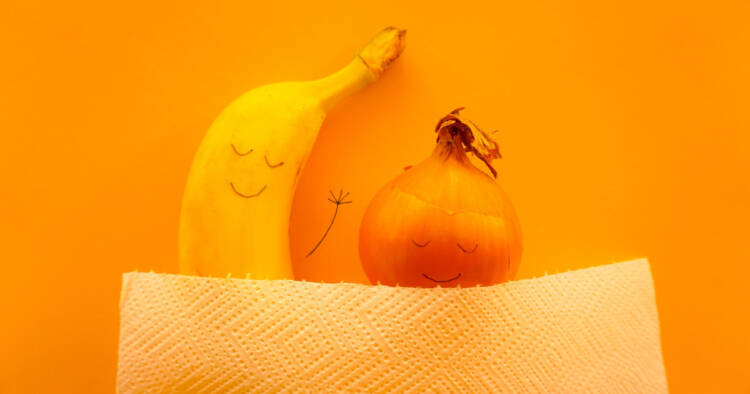 banana and onion sleeping in bed with faces drawn on them