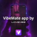 VibeMate promotional image with the app logo.