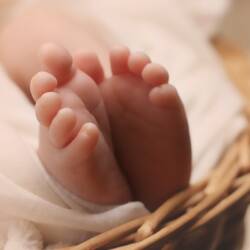 Newborn baby feet poking out of a wicker basket.